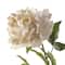 White Peony Stem by Ashland®